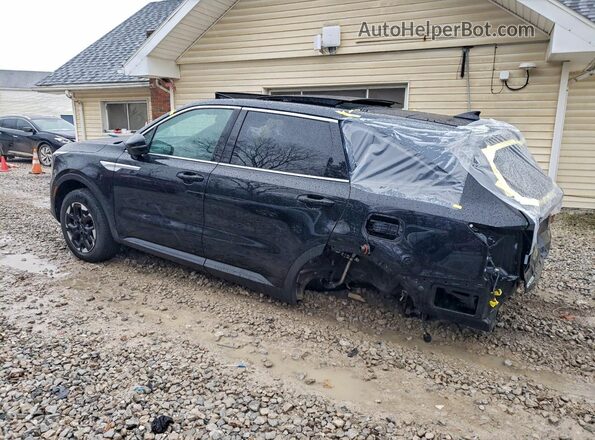 5XYRLDJC0RG294117 2024 KIA SORENTO Черный Задняя левая четверть
