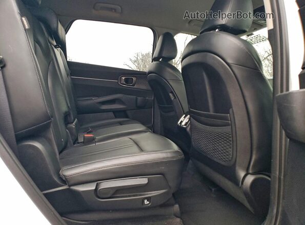 5XYRLDJC8RG259356 2024 KIA SORENTO White Вид задньої частини салону