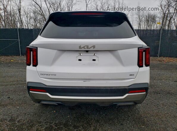 5XYRLDJC8RG259356 2024 KIA SORENTO White Вид ззаду