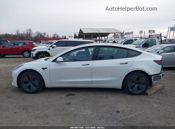 5YJ3E1EB1NF329295 2022 TESLA MODEL 3 White Widok wnętrza z tyłu