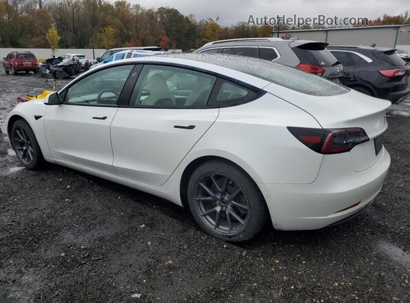 5YJ3E1EB2NF115254 2022 TESLA MODEL White Հետևի ձախ
