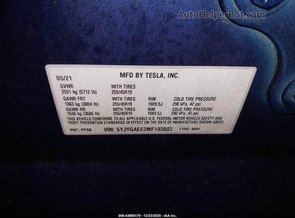 5YJYGAEE2MF193803 2021 TESLA MODEL Y Dark Blue 