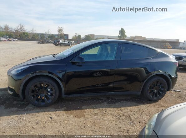 5YJYGDED2MF114042 2021 TESLA MODEL Y Black 