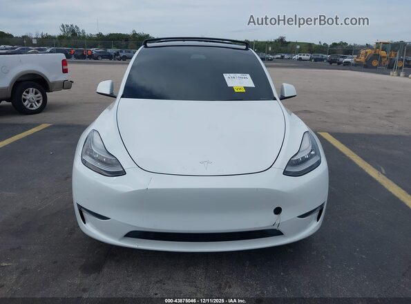 5YJYGDEE1MF077526 2021 TESLA MODEL Y White 