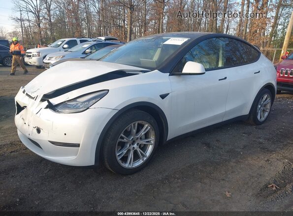 5YJYGDEE1MF095069 2021 TESLA MODEL Y Белый Передняя левая четверть