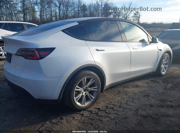 5YJYGDEE1MF095069 2021 TESLA MODEL Y Белый Задняя правая четверть