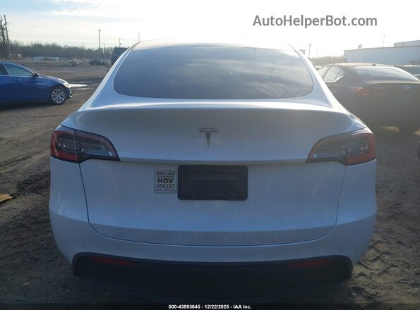 5YJYGDEE1MF095069 2021 TESLA MODEL Y Белый 