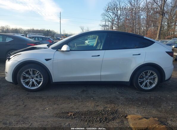 5YJYGDEE1MF095069 2021 TESLA MODEL Y Белый Панорамный вид салона 360°