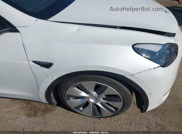 5YJYGDEE5MF072572 2021 TESLA MODEL Y Белый 