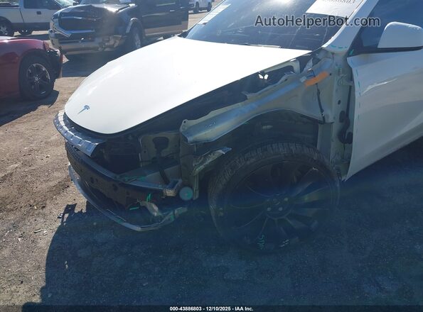 5YJYGDEE5MF204066 2021 TESLA MODEL Y Белый 
