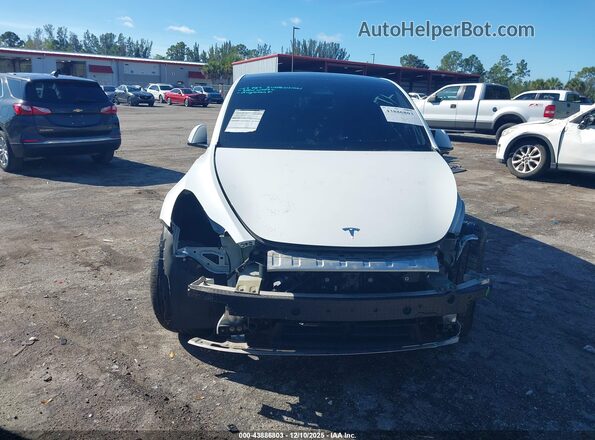 5YJYGDEE5MF204066 2021 TESLA MODEL Y Белый 