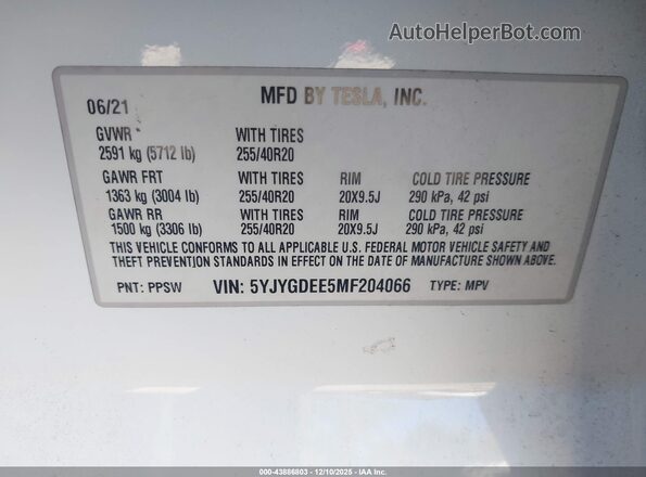 5YJYGDEE5MF204066 2021 TESLA MODEL Y Белый 