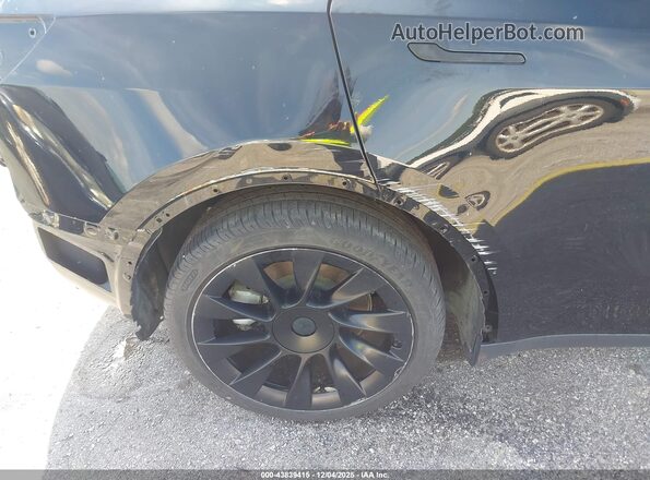 5YJYGDEE6MF189836 2021 TESLA MODEL Y Black 