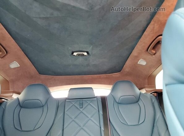 5YM23CS00P9S28365 2023 BMW XM Синий Вид задних сидений