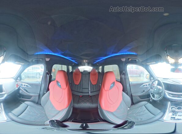5YM33CS04R9W91052 2024 BMW XM Gray Панорамний вид салону 360°