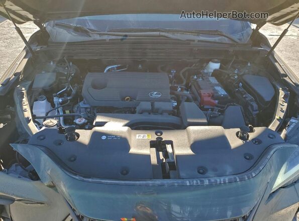 2T2ADCAZ1RC012020 2024 LEXUS NX 250 BAS Зеленый Вид наклейки с VIN-кодом