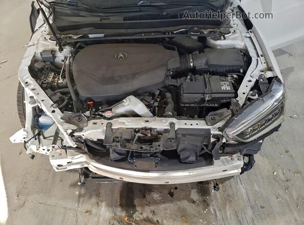 19UUB2F48LA006047 2020 ACURA TLX White Շարժիչի բաժամունքի տեսք