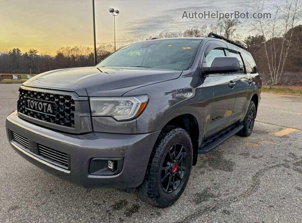 5TDEY5B10MS182254 2021 TOYOTA SEQUOIA Gray 