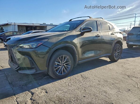 2T2ADCAZ1RC012020 2024 LEXUS NX 250 BAS Зеленый Задняя левая четверть