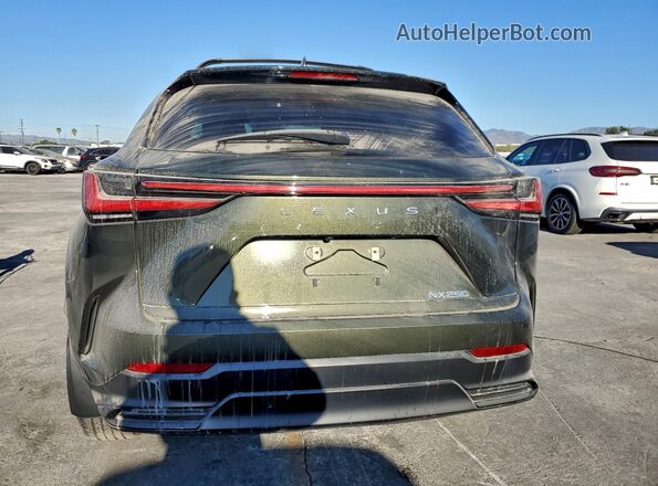 2T2ADCAZ1RC012020 2024 LEXUS NX 250 BAS Зеленый Вид салона спереди
