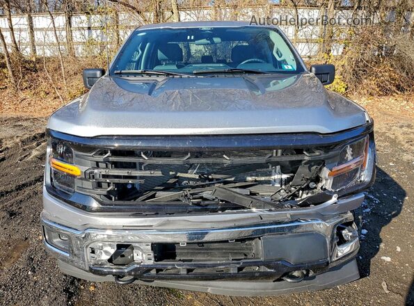 1FTEW3LP4SKE63121 2025 FORD F150 Silver უკანა ხედი