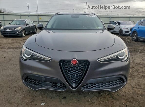 ZASPAKBN6L7C84754 2020 ALFA ROMEO STELVIO Gray უკანა ხედი
