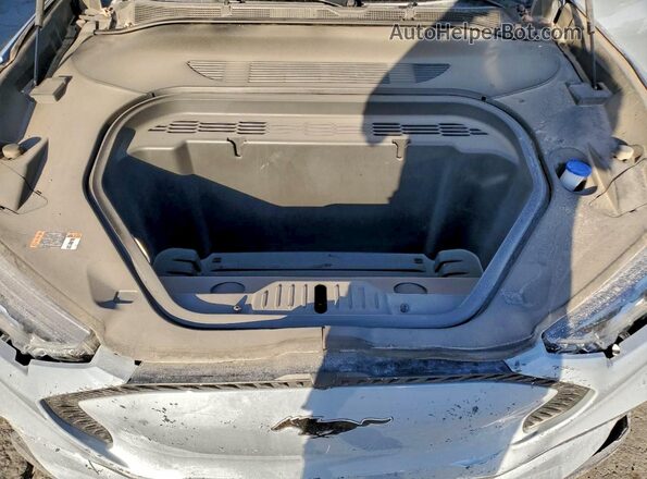 3FMTK1S59RMA07301 2024 FORD MUSTANG Серый Вид наклейки с VIN-кодом