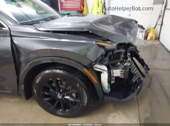 7FARS6H56PE040832 2023 HONDA CR-V Gray 