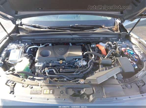 7MMVAADWXSN110003 2025 MAZDA CX-50 HYBRID Синий Вид сзади