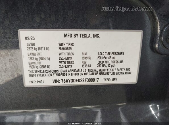 7SAYGDED2SF300017 2025 TESLA MODEL Y Gray 