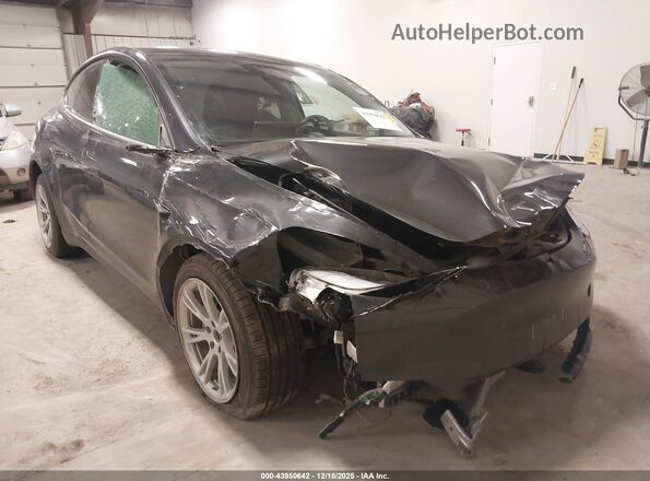 7SAYGDED3RF054296 2024 TESLA MODEL Y Gray Դիմացի տեսք