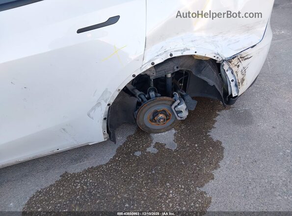 7SAYGDEE0RA252906 2024 TESLA MODEL Y Белый Вид спереди