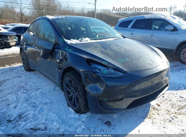 7SAYGDEE0SF299491 2025 TESLA MODEL Y Gray 