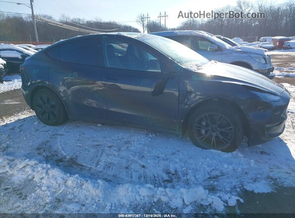 7SAYGDEE0SF299491 2025 TESLA MODEL Y Gray 