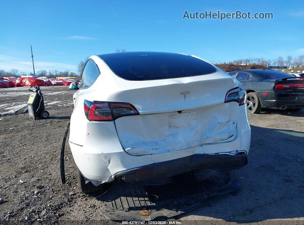 7SAYGDEE3RF185141 2024 TESLA MODEL Y Белый 