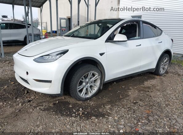 7SAYGDEE9PA150999 2023 TESLA MODEL Y White 