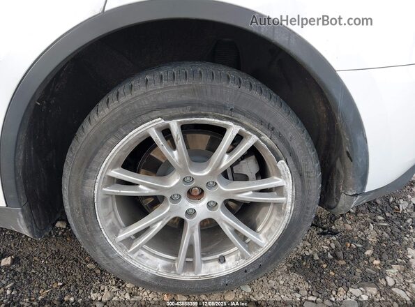 7SAYGDEE9PA150999 2023 TESLA MODEL Y White 