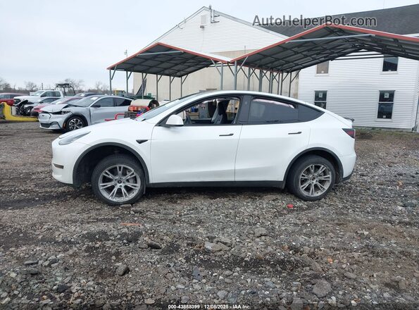 7SAYGDEE9PA150999 2023 TESLA MODEL Y White 