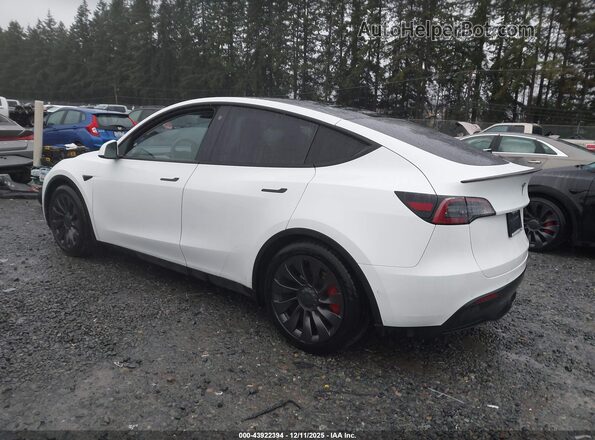 7SAYGDEF3NF495518 2022 TESLA MODEL Y White Tył lewy