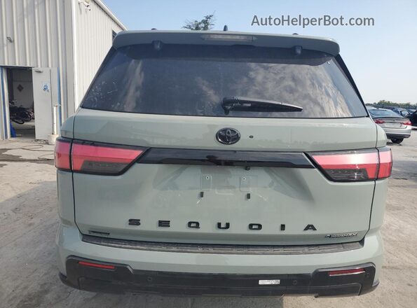 7SVAAABA5SX053659 2025 TOYOTA SEQUOIA Gray Widok z tyłu