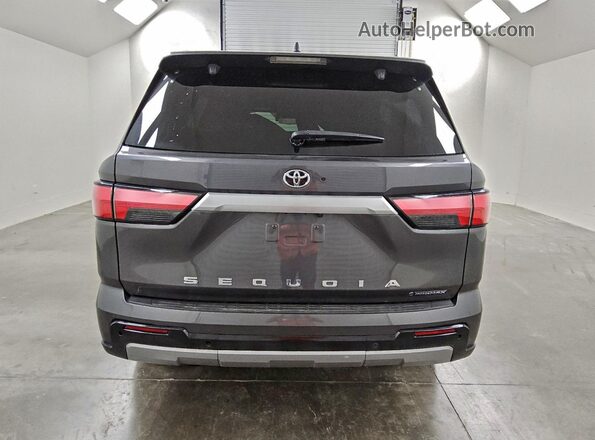 7SVAAABA6SX054108 2025 TOYOTA SEQUOIA Gray Հետևի տեսք