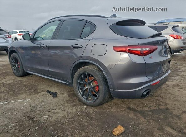 ZASPAKBN6L7C84754 2020 ALFA ROMEO STELVIO Gray უკანა მარჯვენა