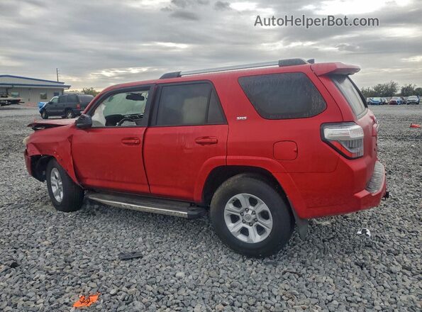 JTEEU5JRXN5256186 2022 TOYOTA 4RUNNER Красный Задняя правая четверть