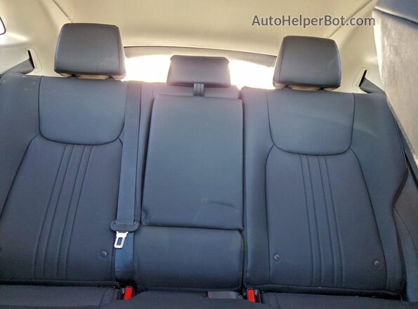 2T2ADCAZ1RC012020 2024 LEXUS NX 250 BAS Зеленый Вид задней части салона