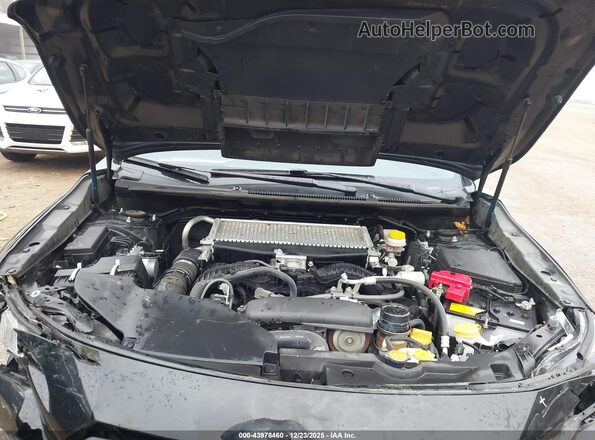 JF1VBAF60P9820026 2023 SUBARU WRX Black Вид ззаду