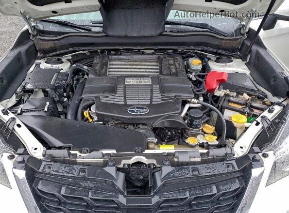 JF2SJGTC7HH419014 2017 SUBARU FORESTER2. White Vista del compartimento del motor