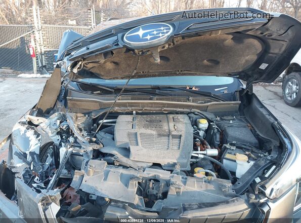 JF2SKADC6RH462947 2024 SUBARU FORESTER Серый Вид сзади