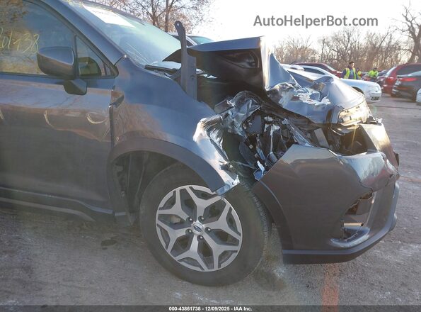 JF2SKADC6RH462947 2024 SUBARU FORESTER Серый 