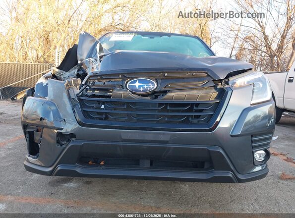 JF2SKADC6RH462947 2024 SUBARU FORESTER Серый Вид спереди