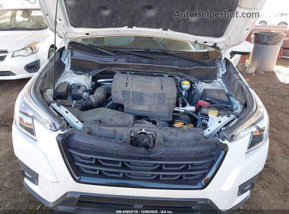 JF2SKAECXPH443846 2023 SUBARU FORESTER White Widok z tyłu